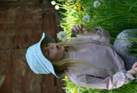 Dzień Polskiej Niezapominajki