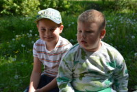 Dzień Polskiej Niezapominajki