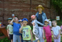 Dzień Polskiej Niezapominajki