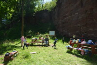 Dzień Polskiej Niezapominajki