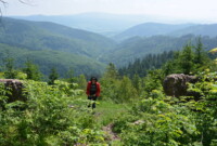 Waligóra 2024 – „Zdobywamy szczyty”!