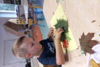 Dzień zwierząt w Stokrotkach