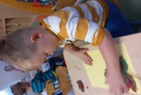 Dzień zwierząt w Stokrotkach