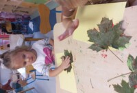 Dzień zwierząt w Stokrotkach