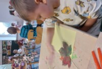 Dzień zwierząt w Stokrotkach