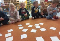 Dzień zwierząt w Stokrotkach