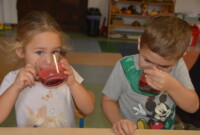 Sok owocowo-warzywny