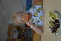 Sok owocowo-warzywny