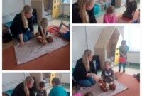 Stokrotki ratują misia