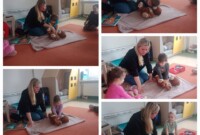 Stokrotki ratują misia