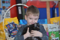 Światowy dzień kota