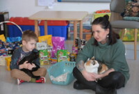 Światowy dzień kota