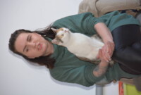 Światowy dzień kota