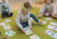 Fiołki i „dzień dinozaura”