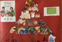 Skąd się biorą produkty ekologiczne?