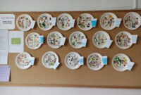 „Skąd się biorą produkty ekologiczne”