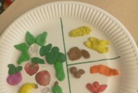 „Skąd się biorą produkty ekologiczne”