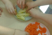 „Skąd się biorą produkty ekologiczne”