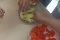 „Skąd się biorą produkty ekologiczne”