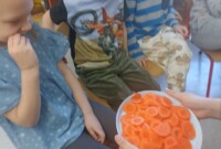 „Skąd się biorą produkty ekologiczne”