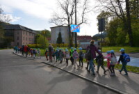 Dzień polskiej niezapominajki