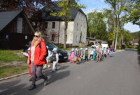 Dzień polskiej niezapominajki