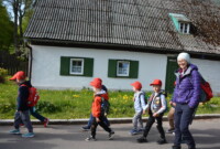 Dzień polskiej niezapominajki