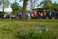 Dzień polskiej niezapominajki