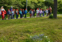 Dzień polskiej niezapominajki