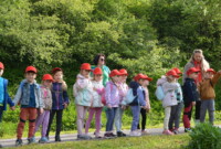 Dzień polskiej niezapominajki