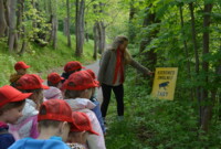 Dzień polskiej niezapominajki