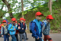 Dzień polskiej niezapominajki