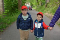 Dzień polskiej niezapominajki