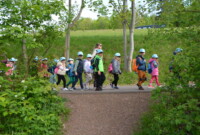 Dzień polskiej niezapominajki