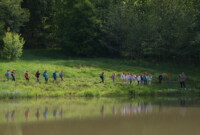 Dzień polskiej niezapominajki