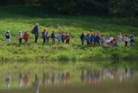 Dzień polskiej niezapominajki