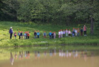 Dzień polskiej niezapominajki