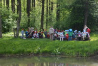 Dzień polskiej niezapominajki