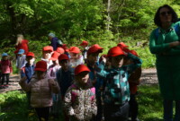 Dzień polskiej niezapominajki