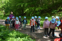 Dzień polskiej niezapominajki