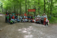 Dzień polskiej niezapominajki