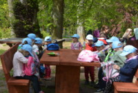 Dzień polskiej niezapominajki