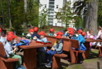 Dzień polskiej niezapominajki