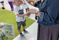 Przyjaciele Zippiego