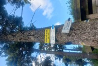 Niezapominajki i Bratki zdobywają szczyt Waligóry