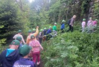 Niezapominajki i Bratki zdobywają szczyt Waligóry