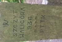 Niezapominajki i Bratki zdobywają szczyt Waligóry