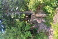 Niezapominajki i Bratki zdobywają szczyt Waligóry