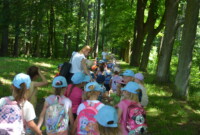 Piknik na Parkowej Górze