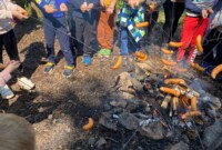 Niezapominajki i Bratki zdobywają szczyt Waligóry